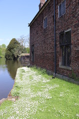 Fototapeta premium old house in the village