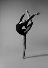 Ballerina in elegant pose