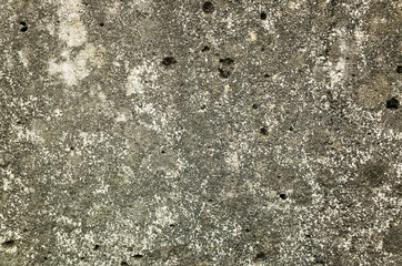 mildewed wall background