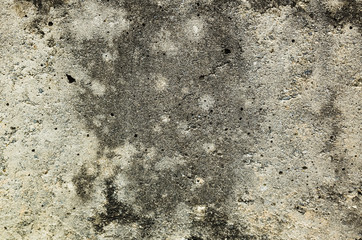 mildewed wall background