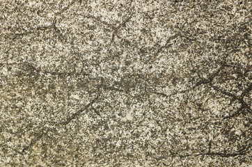 mildewed wall background