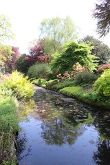 japanese garden with pond and flowers