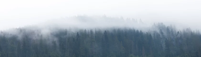 Fotobehang Heuvel Berg mistige achtergrond, bosmist, mistlandschap.