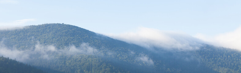 Mountain foggy background, forest fog, mist landscape.