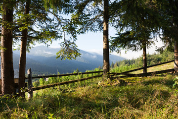 Europe mountain village landscape, green valley.