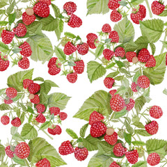 Seamless texture Watercolor illustration of red raspberry Bush