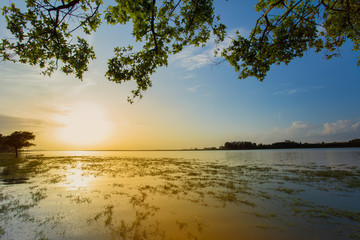 Fototapeta na wymiar Lake, Sunrise - Dawn, Horizon, Sky, Sun