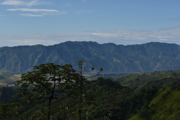 Ibague