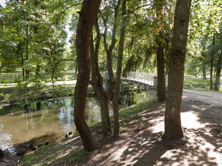 Overgrown pond and bridge in the old park