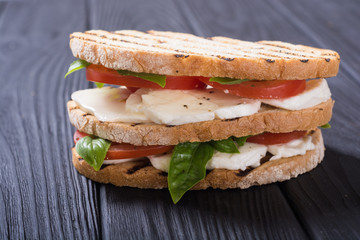 Panini sandwich with mozzarella