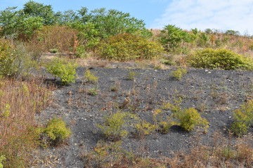 &Ouml;dland Hoheward