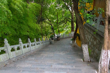 Parque Natural Nanjing Chima