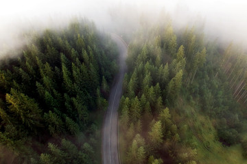 Summer view of the mountain road