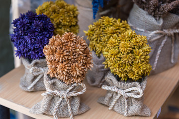 Colorful of dried flower