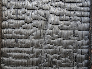Japanese Burnt Charcoal Wall Textures