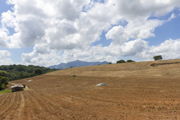 Área preparada para plantio agrícola de propriedade rural brasileira 