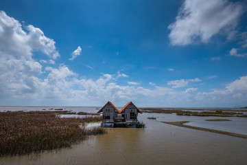 Landscape of Ta-lay Noi wetlands preserve in Phattalung district, Thailand.