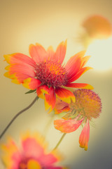 Search Photos By David Léotard