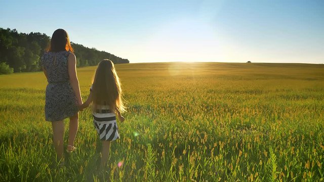 Back view of mother and little daughter holding hands and walking forward, beautiful wheat field during sunset in background