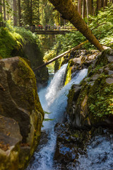 Pacific Northwest Waterfall