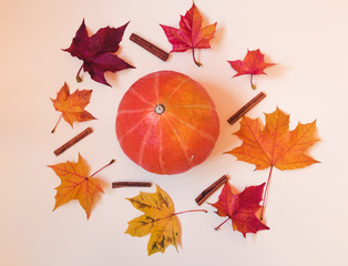 Orange pumpkin, cinnamon and colorful autumn maple leaves. Fall concept.