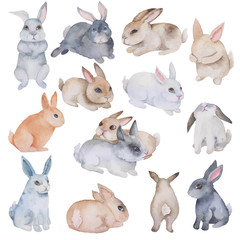 Set of watercolor hares on white background