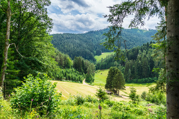 Germany, In the middle of the black forest