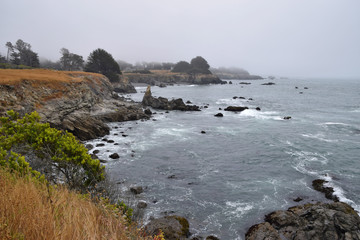 Fototapeta na wymiar N. California coast views