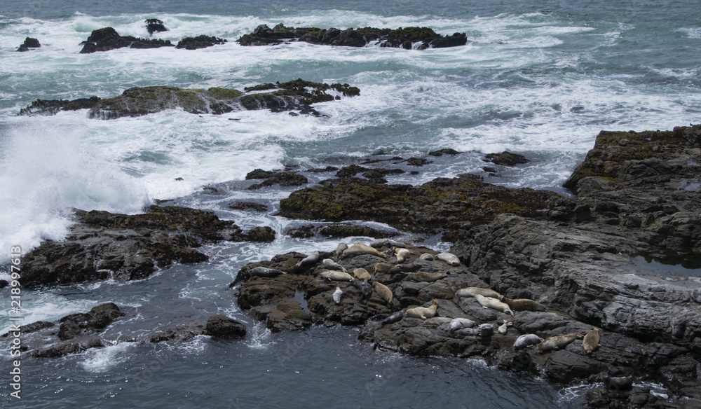 Wall mural waves crashing in high surf on the n. california coast