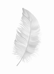 Vector white fluffy feather isolated on white background