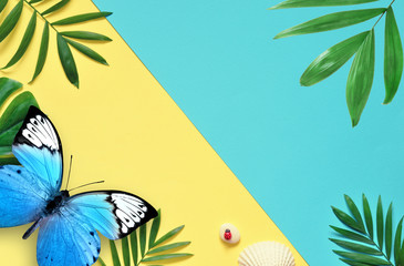 Tropical background. Palm trees branches with butterfly and seashell.