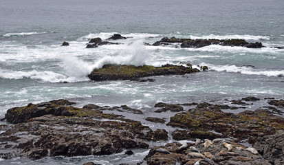 Waves crashing in high surf on the N. California coast