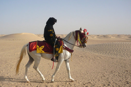 Man on a horse in the desert.