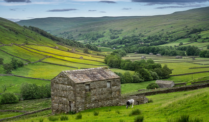 The old barns in Swaledale © mountaintreks