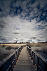 Puente de madera sobre laguna en un atardecer con nubes