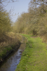 Obraz premium walk along a country stream