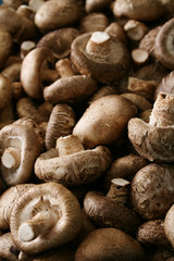 Fototapeta premium fresh uncooked mushrooms