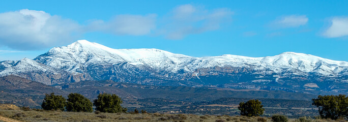 guara  hoy