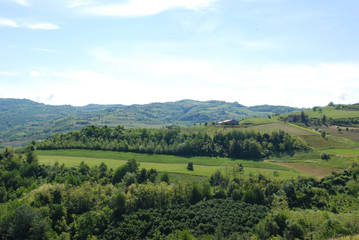 Fototapeta na wymiar Vineyards on the Langhe Hills, Piedmont - Italy