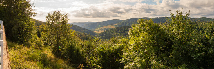Fototapeta na wymiar Vallée vosgienne vu depuis le hameau du Climont, commune française et montagne, Alsace, Vosges, France