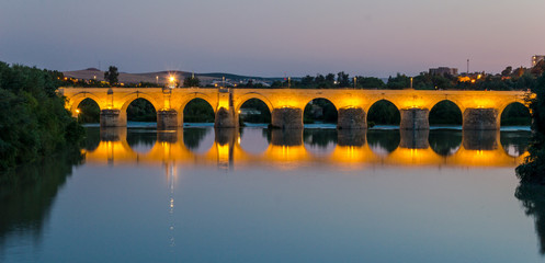 el puente romano