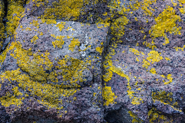 boulders in a rocky landscape. Background of stones.