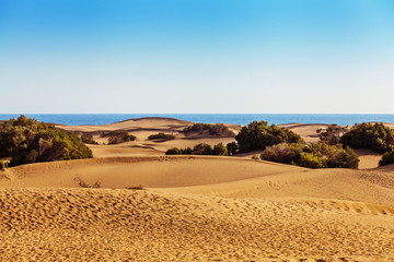 Maspalomas sand dunes