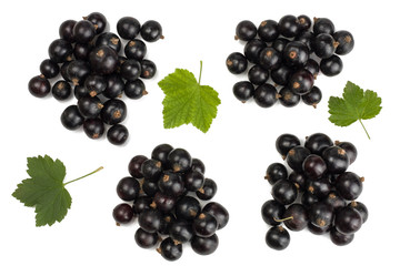 Black currant isolated on white. Top view.\