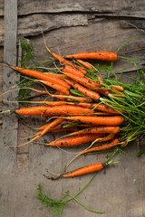 fresh farm organic carrot harvest wooden background