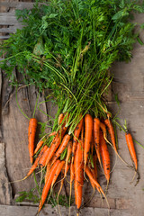 fresh farm organic carrot harvest wooden background