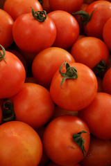 fresh ripe tomatoes
