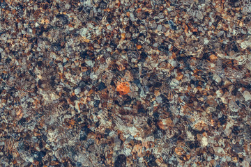 Colored stones and sea shells on the beach