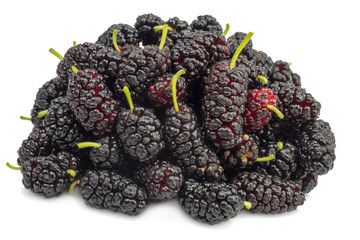 A small heap of mulberries isolated on white background