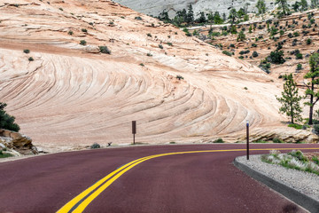 Road turning in front of a mountain in Zion National Park, utah, USA